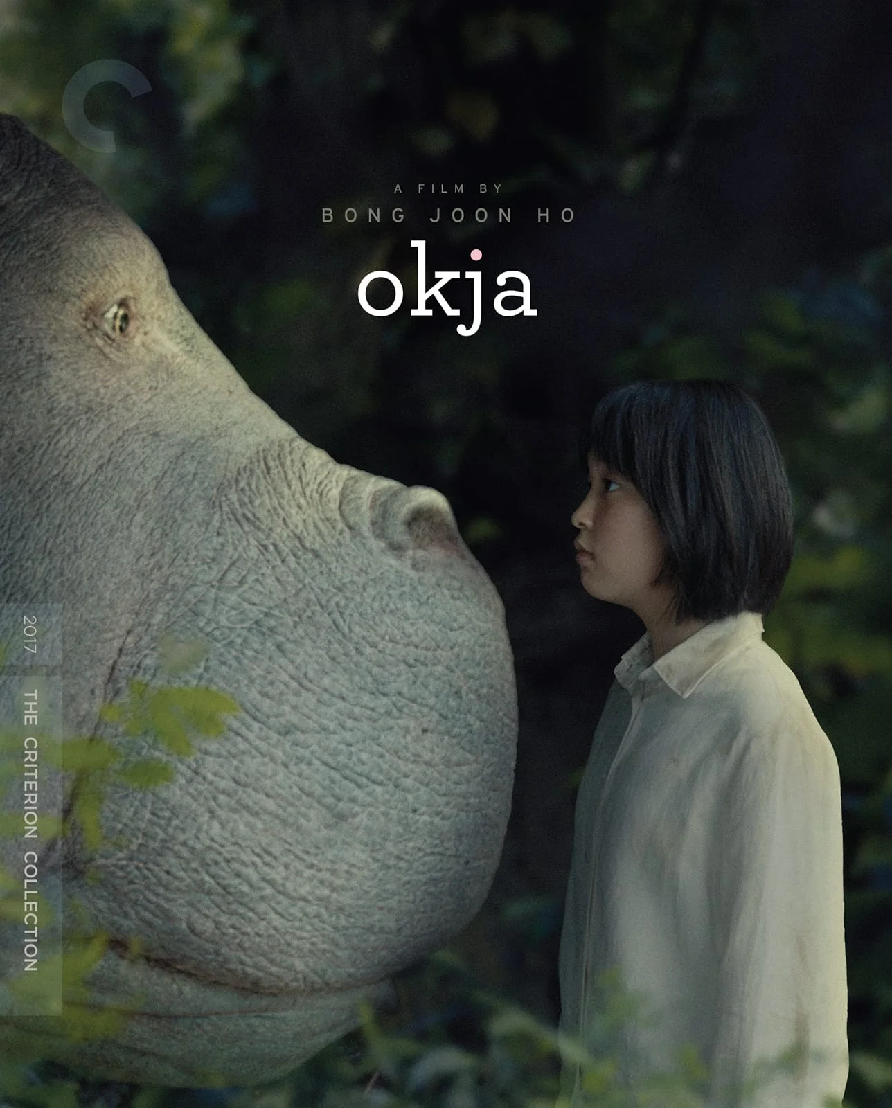 13 filmes da Netflix que estão na coleção Criterion e merecem sua atenção